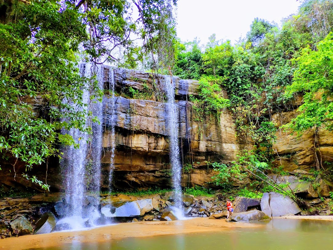 Shimba Hills National Reserve