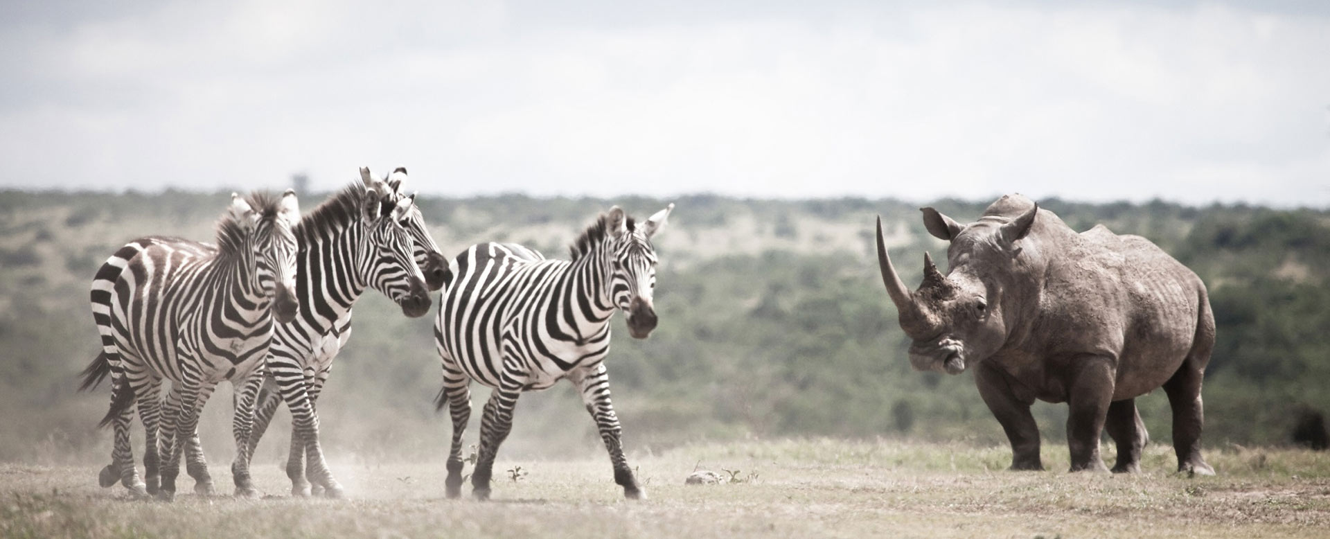 Solio Game Reserve