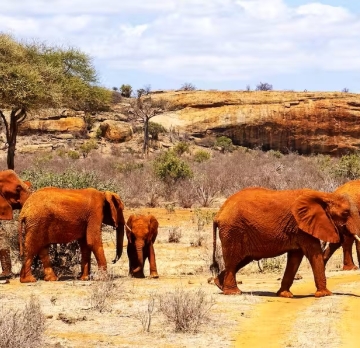 3-Day Tsavo East / West